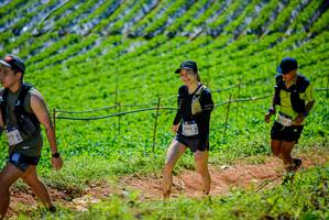 BIB: 1392
                            <button type="button" onclick="openModal(19164162)" class="btn btn-primary btn-sm float-right btn-popup" data-toggle="modal" data-target=".modal-high-quality">
                        <i class="fas fa-shopping-cart"></i> Add to Cart
                    </button>
                                            <button type="button" onclick="isThisMe(19164162, true)" class="btn btn-success btn-sm float-right btn-popup btn-isme hidden" data-toggle="tooltip" data-placement="bottom" title="นี่คือรูปของคุณใช่ไหม คลิกที่นี่เพื่อเอาเข้าอัลบั้ม">
                        <i class="fas fa-plus"></i> Add to album
                    </button>
                    <button type="button" onclick="isThisMe(19164162, false)" class="btn btn-warning btn-sm float-right btn-popup btn-isnotme hidden">
                        <i class="fas fa-ban"></i> Remove from album
                    </button>